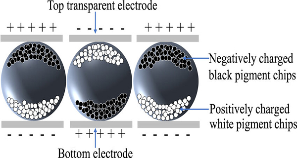 Sơ đồ chi tiết cấu tạo một microcapsule E Ink