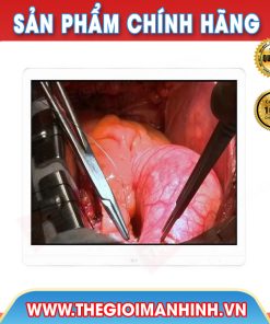 Màn hình hiển thị phẫu thuật LG 27HJ713S-W