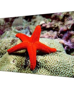 Màn hình ghép Hikvision 55 inch viền 3.5mm DS-D2055LU-Y