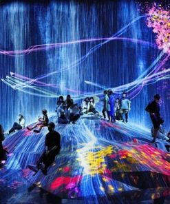 Bảo tàng TeamLab Borderless